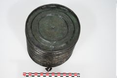 Foto von Bronzerippenziste (NHMW-PRAE-025670)